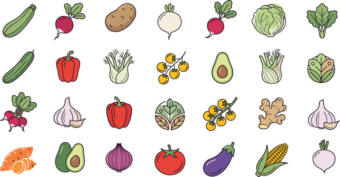 Hand drawn organic vegetables and farm fresh harvest icon set featuring tomato avocado pepper garlic ginger potato eggplant corn onion radish cucumber zucchini