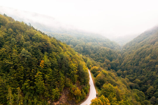 Aerial view of a winding mountain road surrounded by dense autumn forest covered with mist and fog