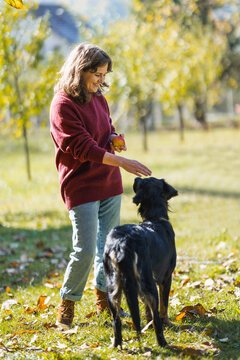 Woman playing with her dog in an autumn park