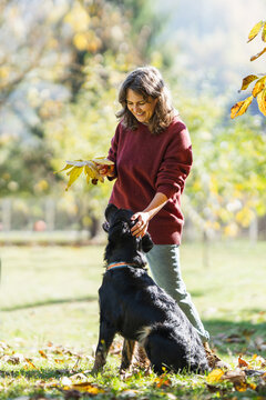Woman playing with her dog in an autumn park