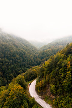 Aerial view of a winding mountain road surrounded by dense autumn forest covered with mist and fog