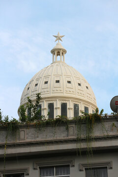 Neoclassical architecture dome with star on top spire, abstract historic concrete cupola building background with hanging green plants, classical geometry lines