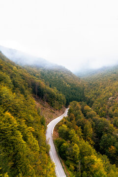 Aerial view of a winding mountain road surrounded by dense autumn forest covered with mist and fog