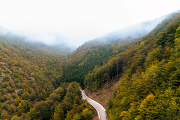 Naklejka premium Aerial view of a winding mountain road surrounded by dense autumn forest covered with mist and fog