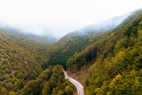 Aerial view of a winding mountain road surrounded by dense autumn forest covered with mist and fog