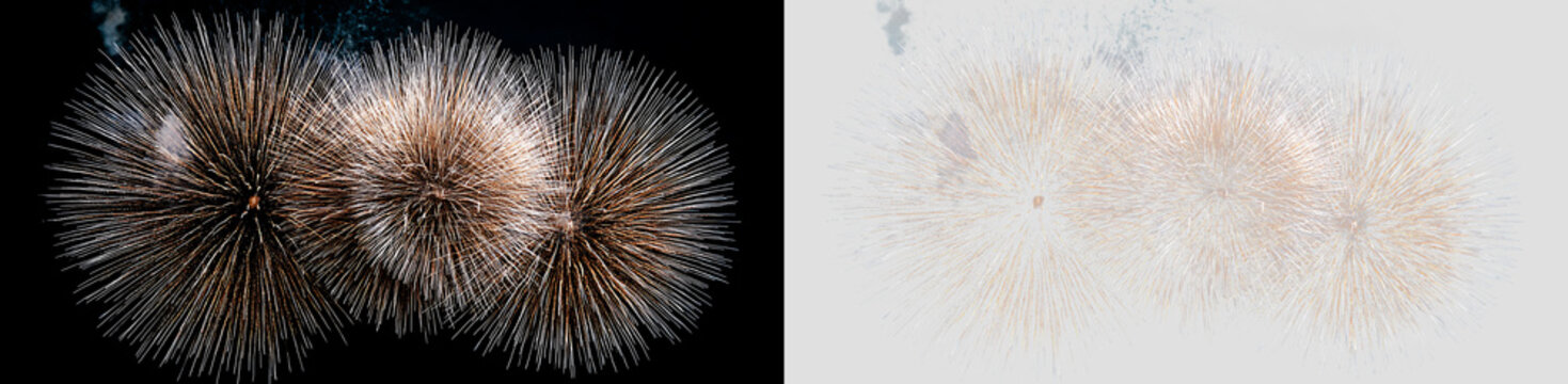 Spectacular Fireworks Overlay with Brilliant Spark Particles