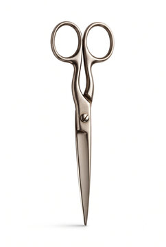 Stainless steel scissors with rounded handles on a white background
