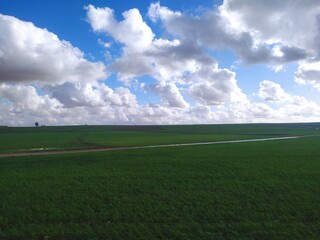 Fototapeta premium Green agricultural field under dramatic cloudy blue sky in Morocco
