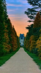 Naklejka premium Scenic path lined with trees leading to a mansion at sunset. Mobile wallpaper.