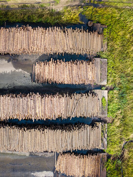 Aerial view of stacked timber logs arranged in neat rows at a storage yard, showcasing the forestry industry and wood processing in Talsu novads, Latvia.