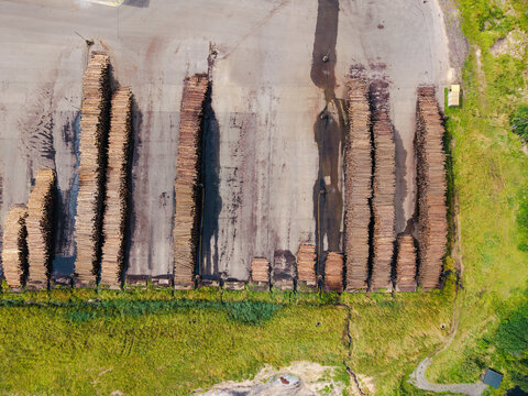 Aerial view of large stacks of timber logs arranged in rows at an industrial storage yard in Talsu novads, Latvia.