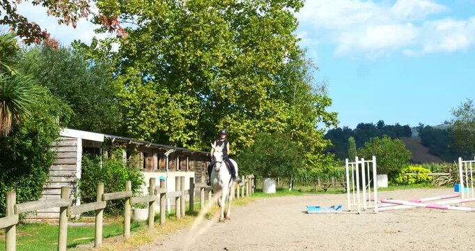 Beautiful young female rider walking on her horse 