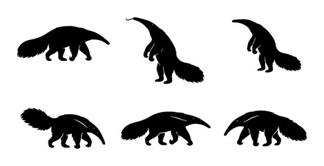 Obraz premium Anteater Silhouettes Collection, Six Diverse Poses, Vector Graphics for Wildlife and Nature Designs