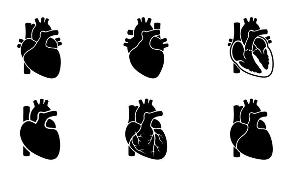 Set of Six Anatomical Heart Icons, Medical Cardiology Vector Illustrations, Black and White Human Organ Symbols for Health and Science