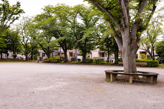 公園の広場に立つ大きな樹木と周りを囲む円形ベンチ