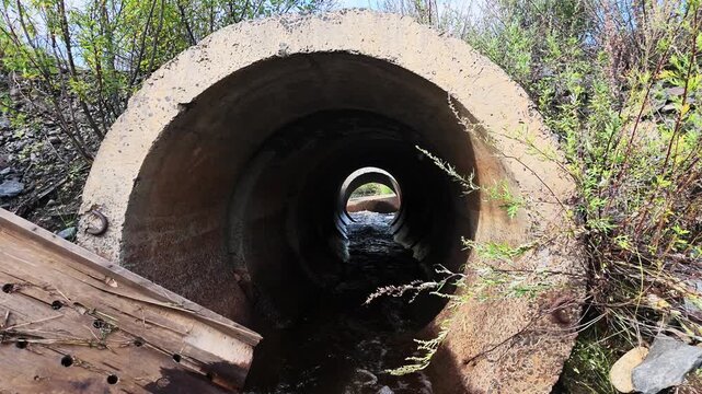 A weathered concrete culvert with flowing water inside is surrounded by overgrown vegetation and debris, remaining unchanged as the water continues its steady flow through the structure.