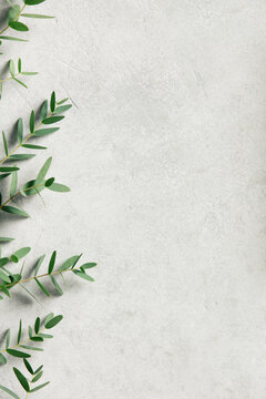 Minimal Greenery on Concrete for Natural Background