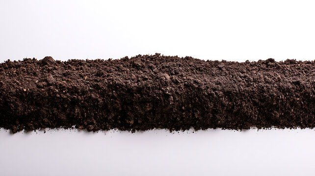 Heap of fertile dark soil isolated on white background