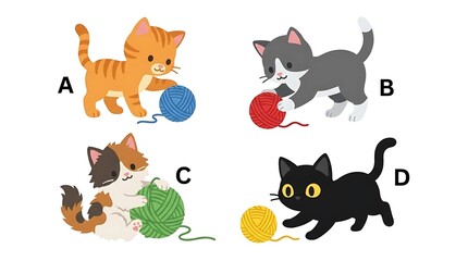 Obraz premium Cute kittens playing with colorful yarn balls set.