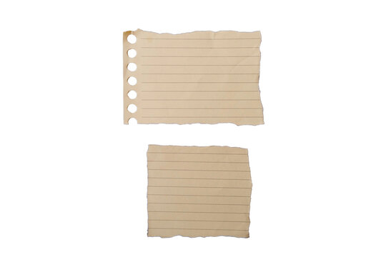 Torn paper strips with lines and binder holes set on white background for banner, note message, scrapbook design, and web template layout