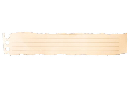 Torn paper strips with lines and binder holes set on white background for banner, note message, scrapbook design, and web template layout