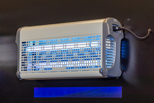 Blue Neons Lamp Trap Mosquito Killer Electric Insect Control Bugs Zapper Mounted at Black Wall