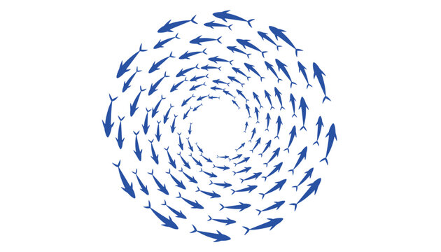 Large school of blue fish swimming in a perfect circle creating a spiral effect over a white background vector illustration.