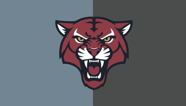 Aggressive wildcat or panther head mascot illustration on a dual-tone blue and grey split background vector design.