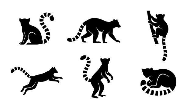 Lemur Silhouettes Collection, Primate Iconography, Wild Animal Vector Graphics, Madagascar Wildlife Set, Black and White Mammal Illustrations