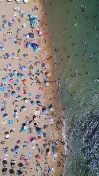 Top Down Aerial View of Crowded Golden Sands Beach in Bulgaria