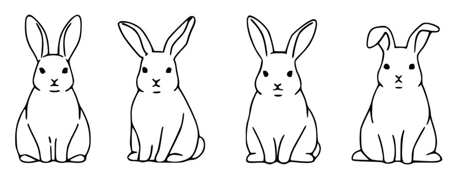 Rabbit set with minimalist illustration featuring bunny, hare, mammal, sitting and white fur with calm expression and line art