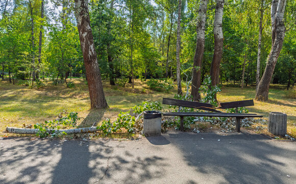 A broken wooden park bench with splintered slats after storm damage, lying on an asphalt path amidst scattered birch branches and leaves, with a concrete trash bin