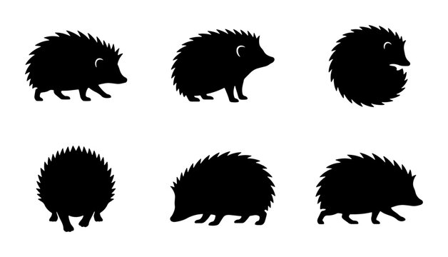 Hedgehog Silhouettes, Cute Animal Icons, Wildlife Vector Graphics, Black and White Prickly Mammal Illustrations, Set of 6