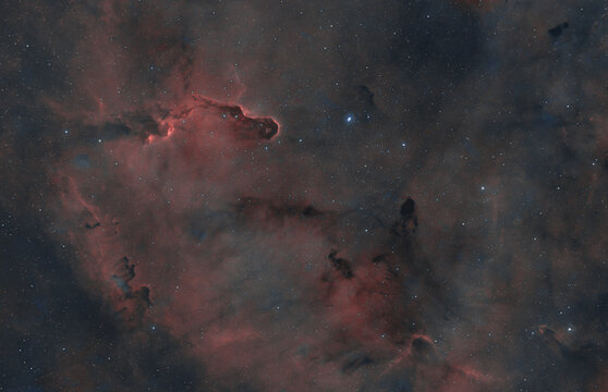 Elephant's Trunk Nebula IC 1396A in Cepheus