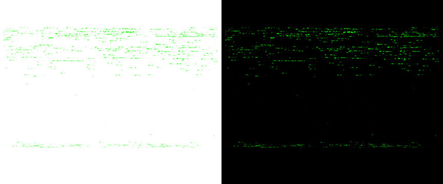 Green digital terminal code on black and white backgrounds, retro computer programming data screen, matrix style software development background