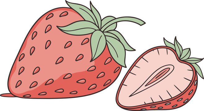 Fresh Strawberry Vector Illustration For Food Product Packaging And Corporate Health Branding