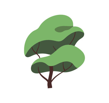 Tall tree with crown of green leaves. Wood with spring foliage. Forest plant with leafage. Design element of summer landscapes, parks and gardens. Flat isolated vector illustration on white background