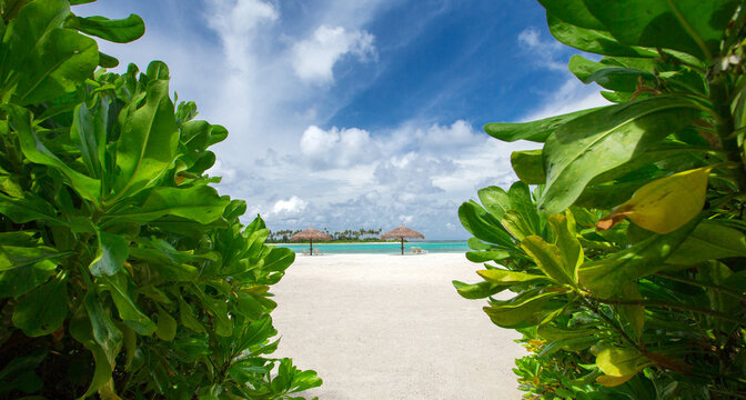 sea and beach background with copy space
