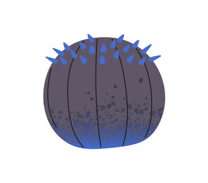 Sea urchin icon. Tropical underwater animal with circle shape and spikes. Exotic undersea fauna. Clam of the coral reef. Mollusk of the ocean. Sea life. Flat isolated vector illustration on white