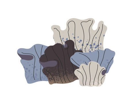 Sea algae, grass, kelp and seaweed. Tropical flora of coral reef. Exotic grey plants of the ocean. Underwater nature. Undersea decorations. Flat isolated vector illustration on white background
