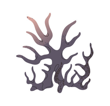 Coral with abstract shapes of branches and gradient style. Plant of sea reef. Ocean algae or seaweed. Undersea stone of tropical seabed. Underwater nature. Flat isolated vector illustration on white