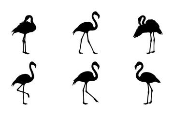 Obraz premium Flamingo Silhouettes, Elegant Bird Poses, Tropical Wildlife Vector Set, Minimalist Black and White Animal Graphics