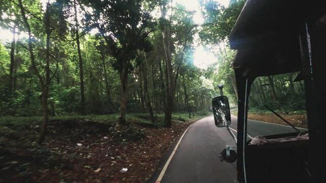 POV video of riding in an auto rickshaw through a lush forest road in Kerala, India, showcasing a scenic rural journey surrounded by dense tropical greenery.