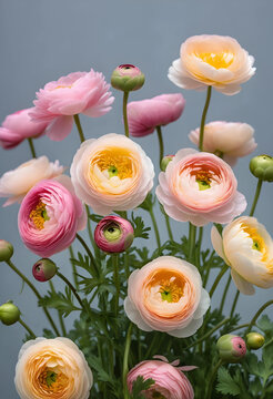 Spring floral arrangement, ranunculus flowers for wedding decor and interior design, botanical beauty and nature with soft pastel petals