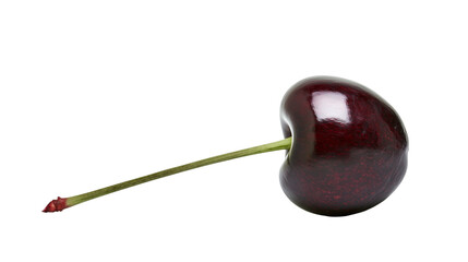 Dark red cherry with green stem isolated on transparent background © Finn