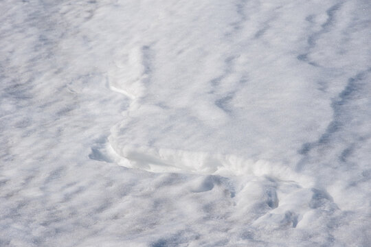 Snow ice. the ice crust. Close-up view of fresh, fluffy snow covering the ground, showcasing a textured surface with varying shades of white and soft contours