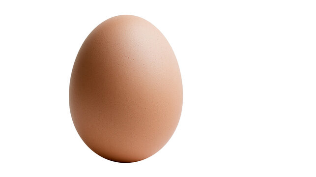 Single brown chicken egg smooth textured shell, isolated on transparent background