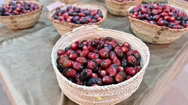 Fresh red dates in woven wicker baskets, organic ripe jujube fruit at local market, traditional harvest of sweet palm dates
