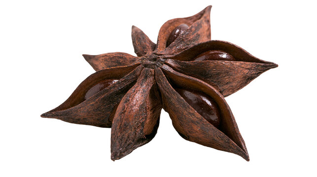 Brown star anise spice with visible seeds, isolated on transparent background