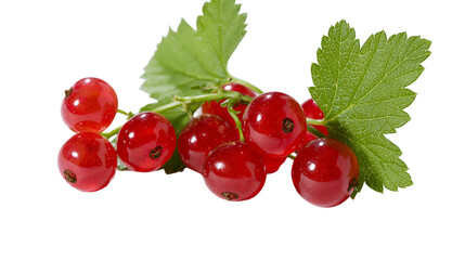 Vibrant red currants with green leaves, isolated on transparent background © Finn